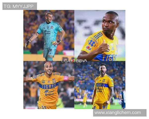 墨西哥队在国际赛事中的表现与数据分析全面解读